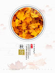 秋分海报 二十四节气 传统文化