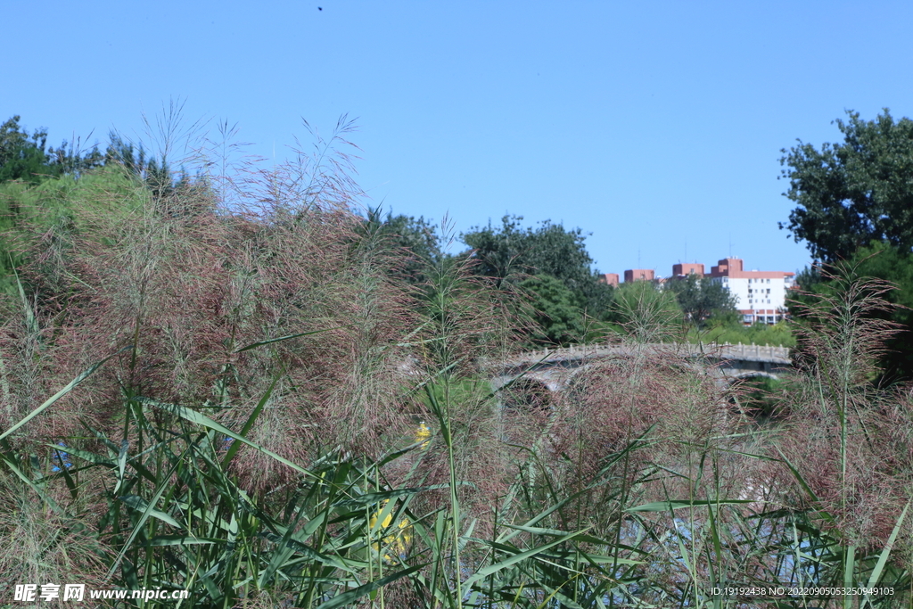 园林风景 