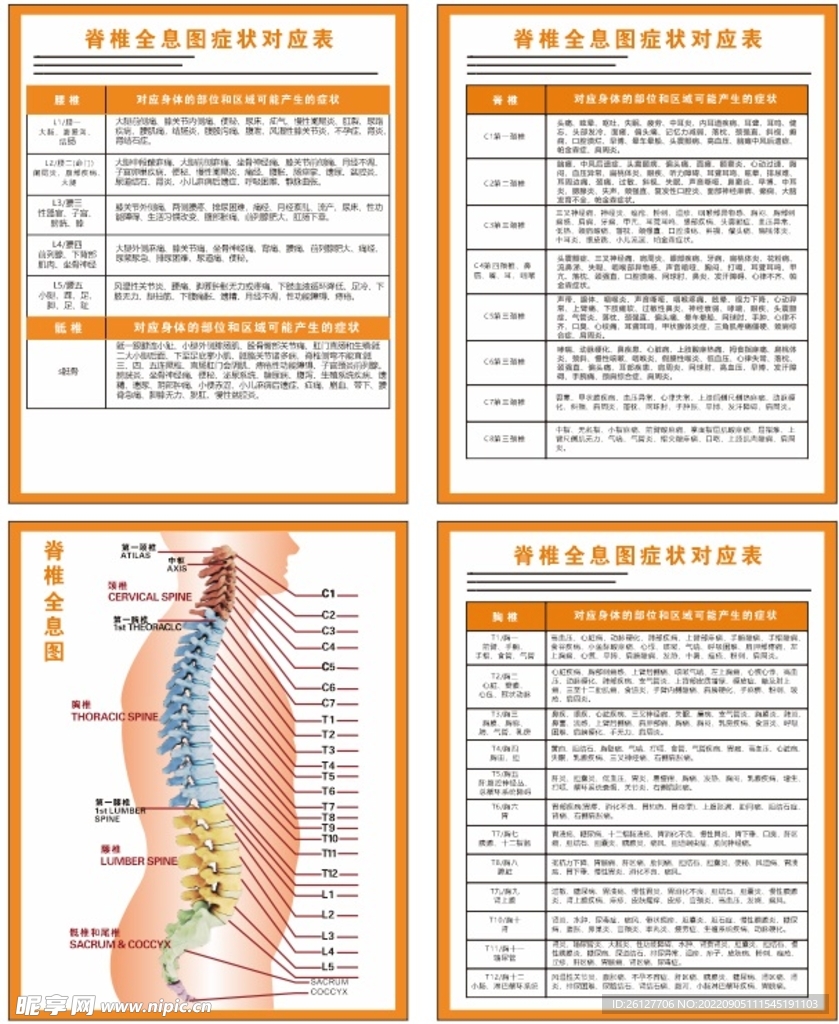 脊柱全息图海报 中医