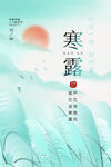 寒露