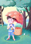 摘红果