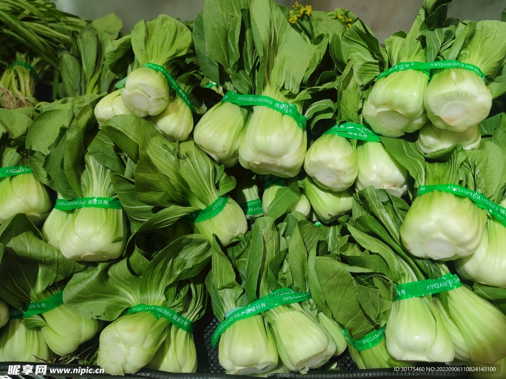 青菜