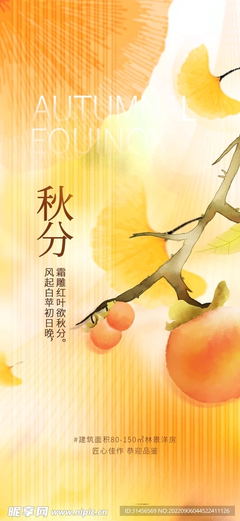 秋分