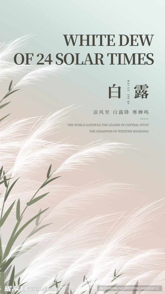 白露海报