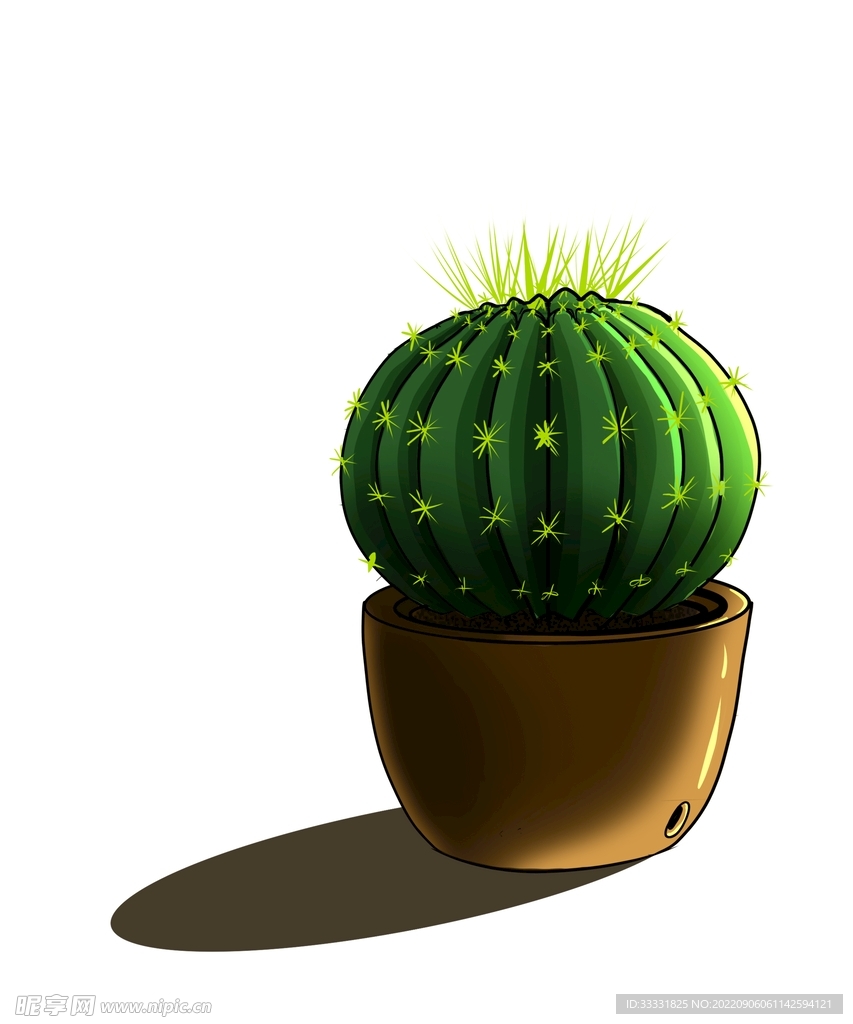 仙人掌