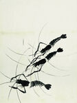 齐白石国画