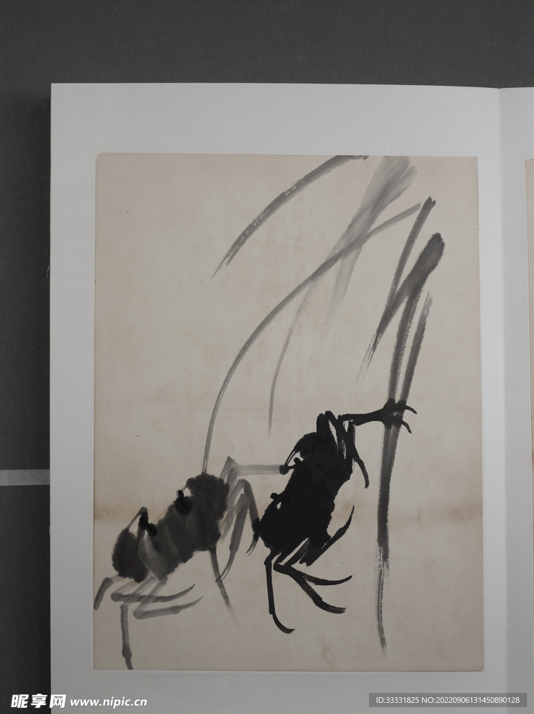 齐白石国画