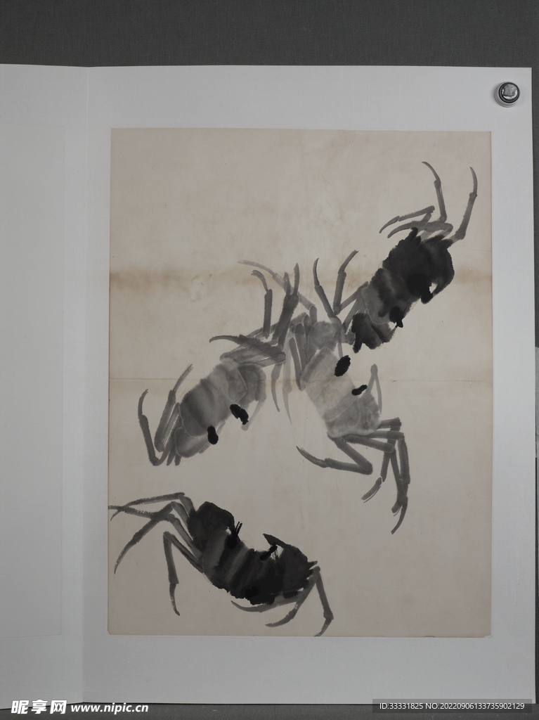 齐白石国画
