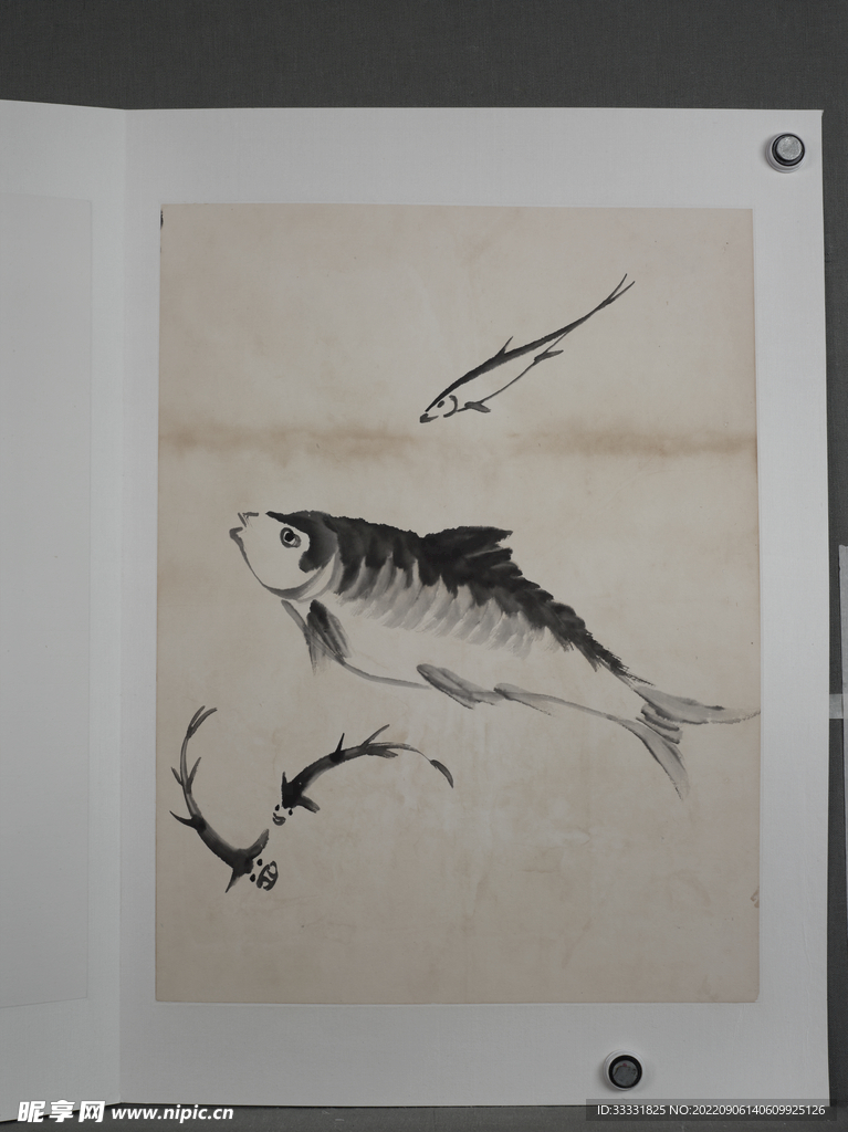 齐白石国画