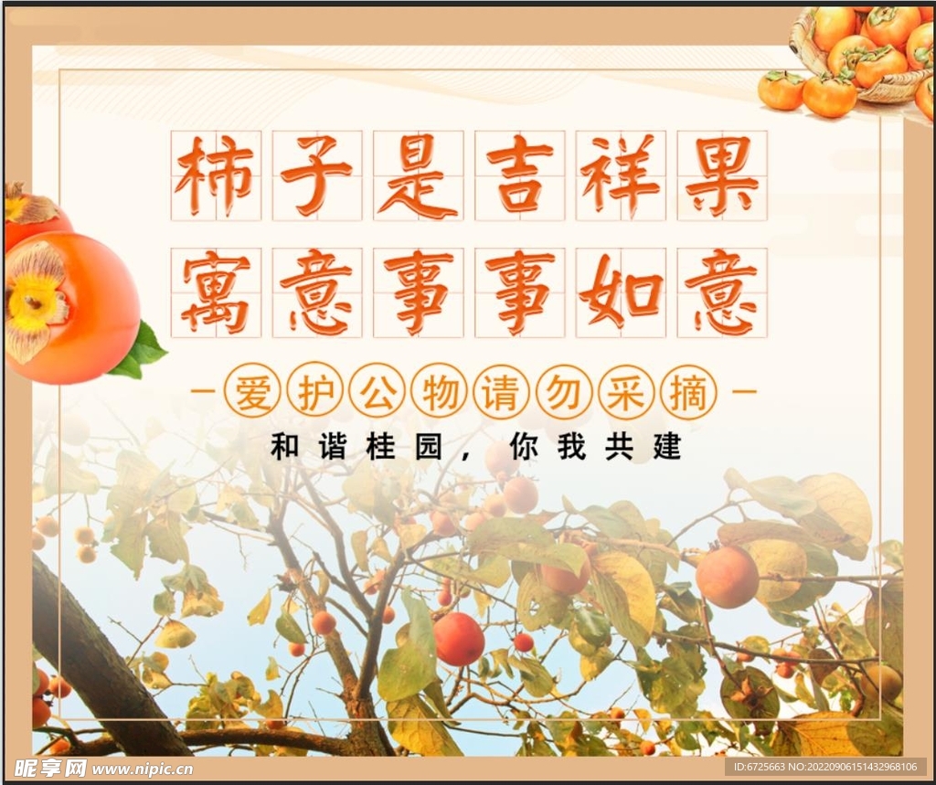 柿子  吉祥果 柿树  