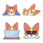 卡通猫