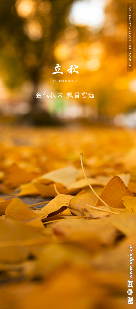 立秋