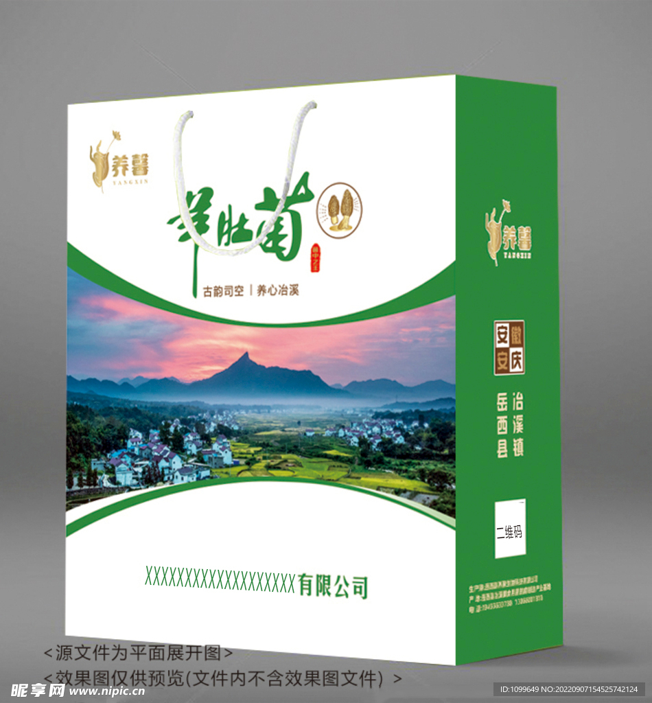 羊肚菌