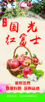 采摘展架