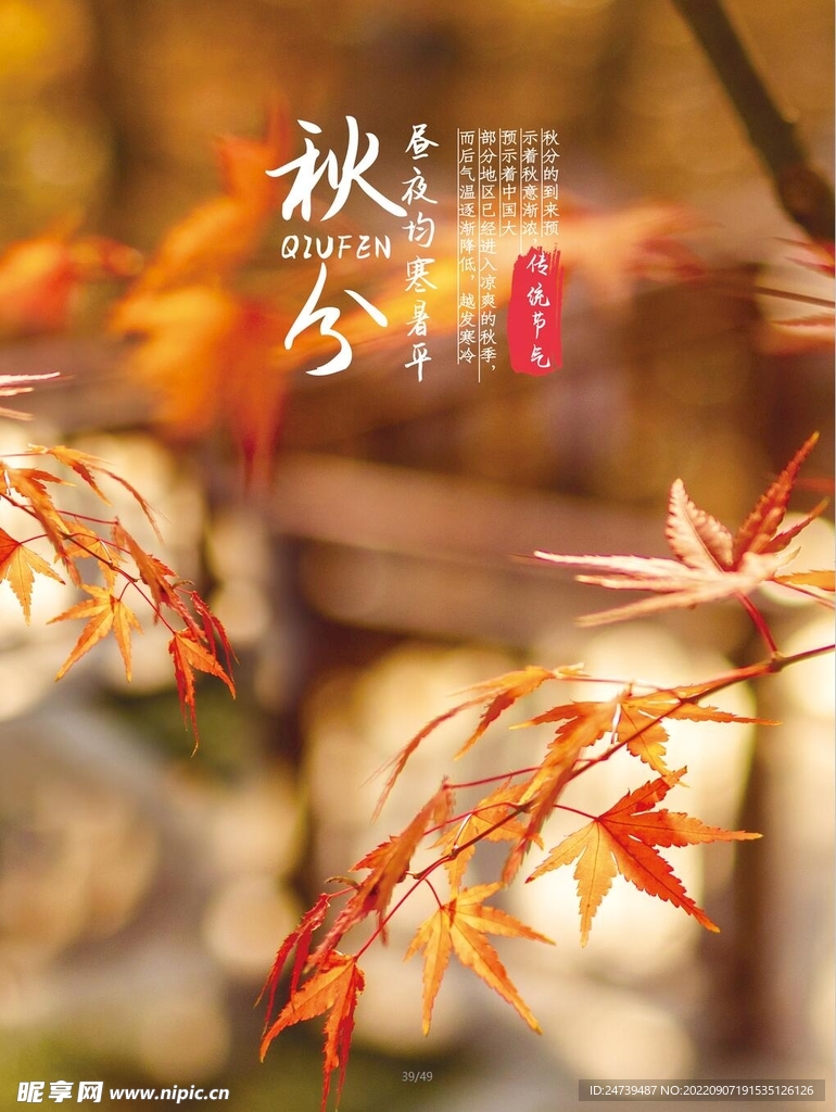 秋分