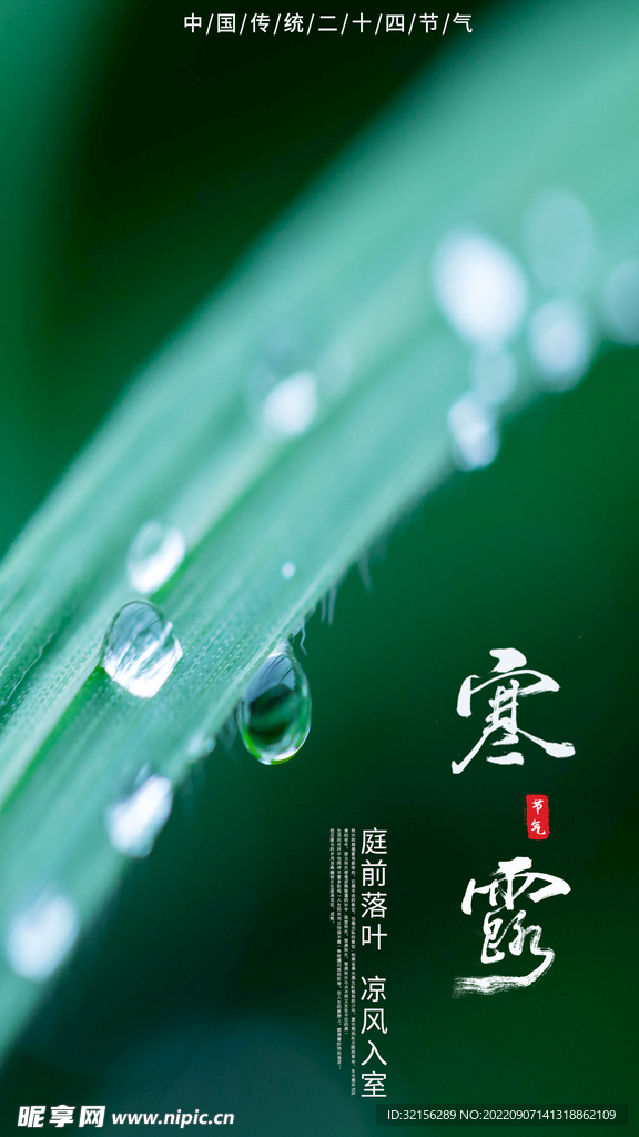 节气寒露