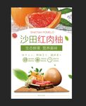 红肉柚子水果海报