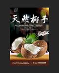 椰子促销海报