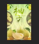 柚子水果海报