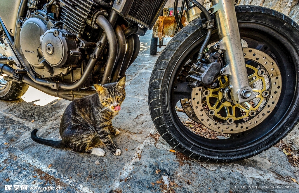 摩托车