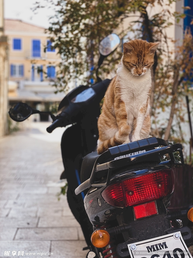 摩托车