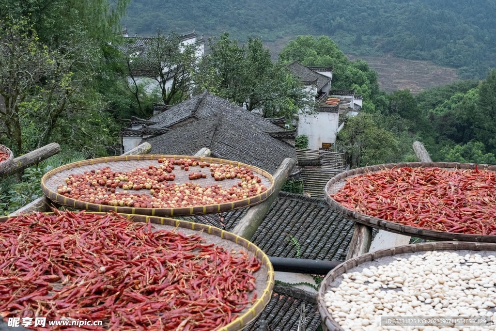 辣椒