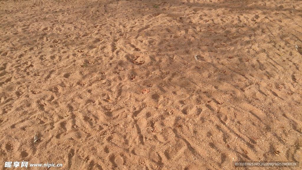 沙漠