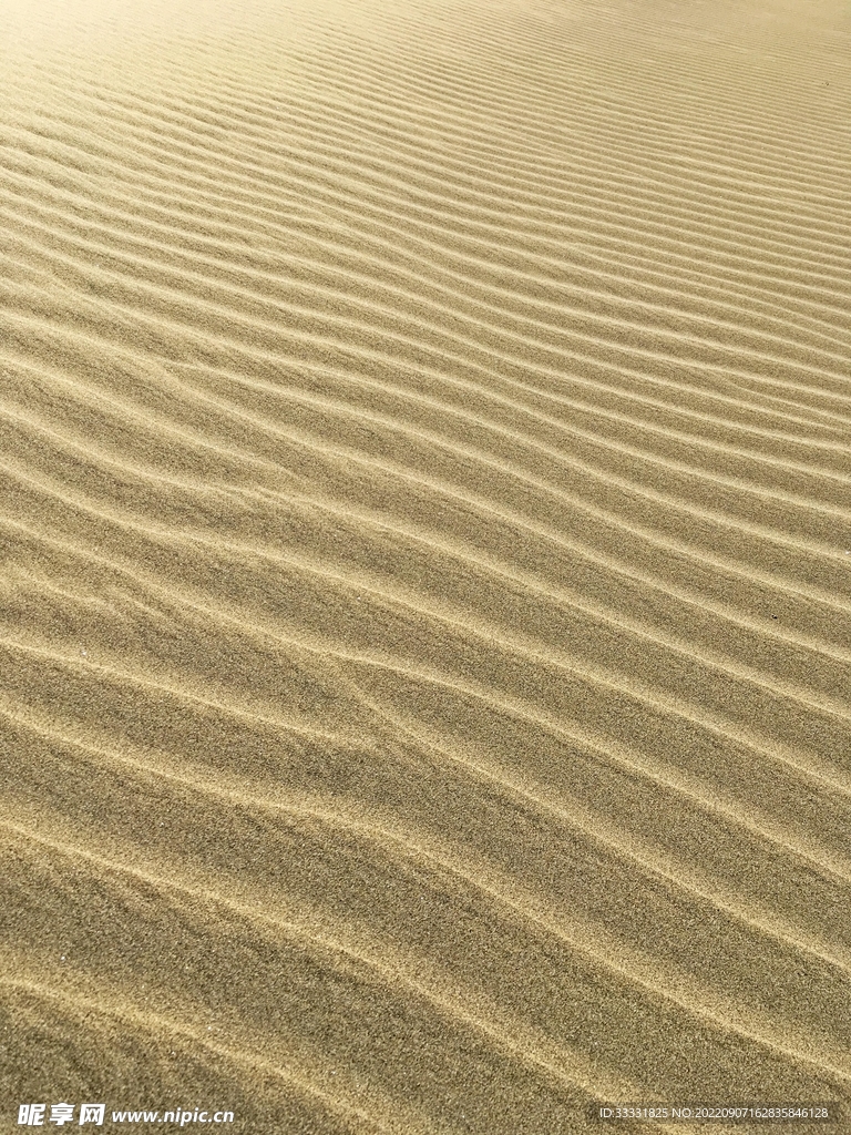 沙漠