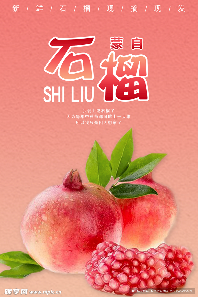 蒙自石榴海报