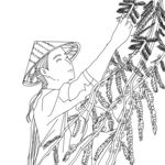 摘果子人物元素
