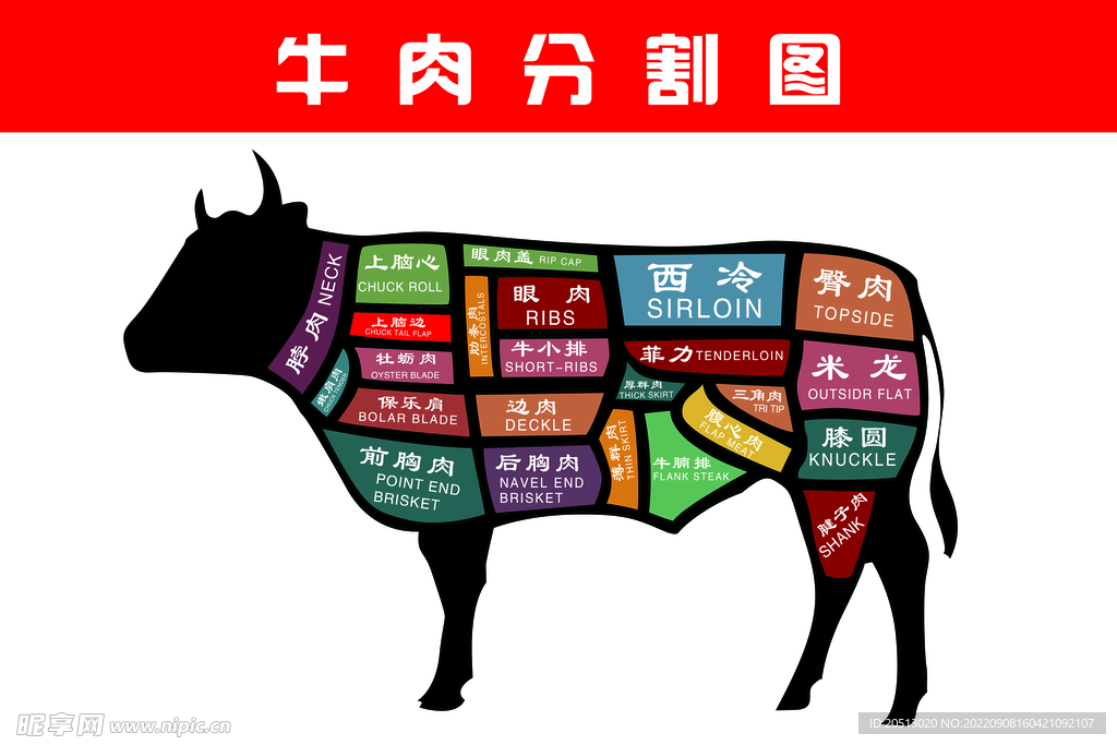 牛肉分割图