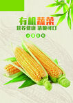 玉米