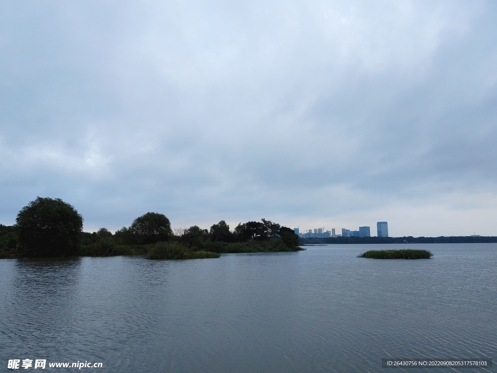 湿地公园湖中小岛