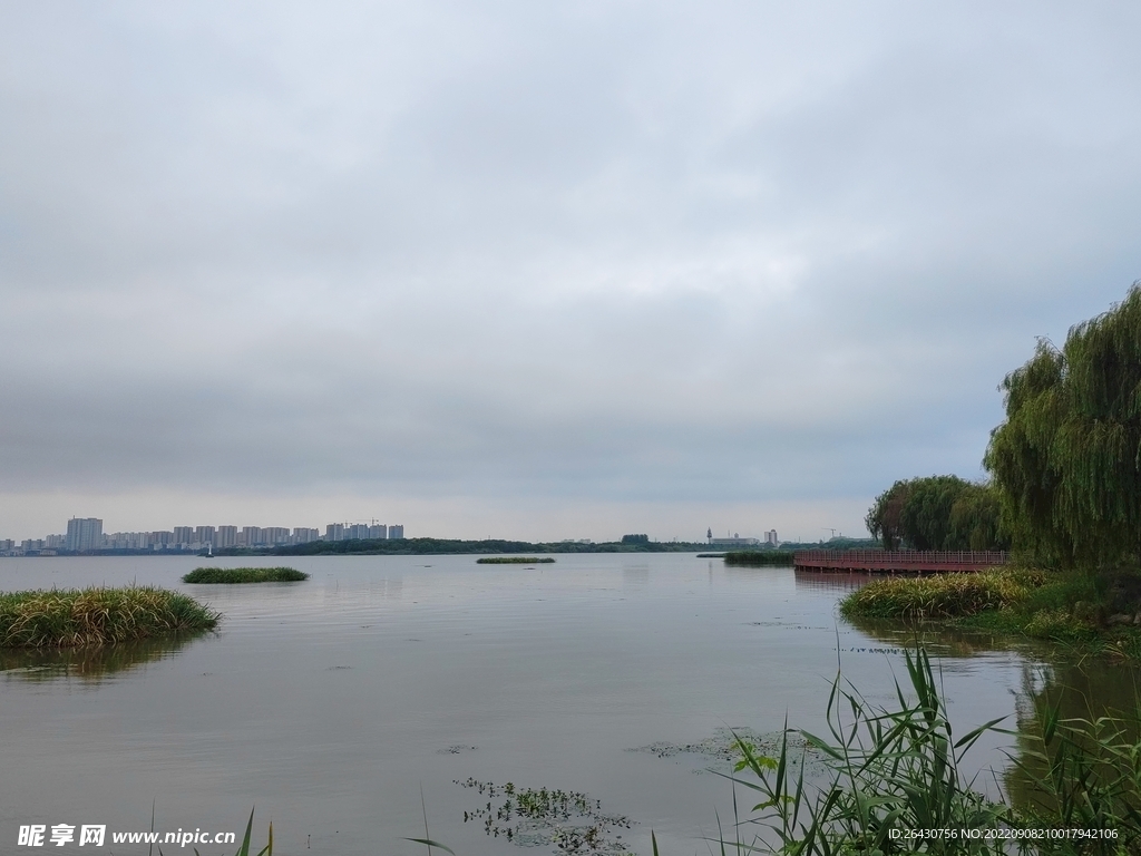 湿地公园芦苇湖景