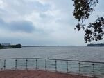 湿地公园湖边观景步道