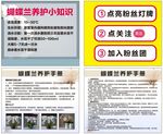 鲜花 花卉