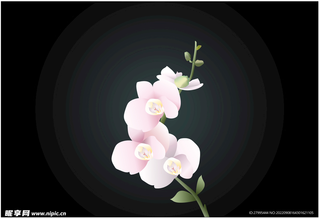 手绘花