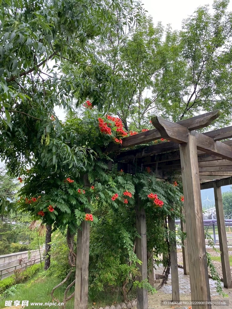公园图片