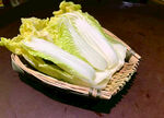 娃娃菜