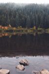 森林河流石头河水