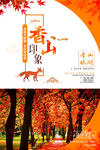 香山红叶海报