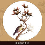 花鸟和谐
