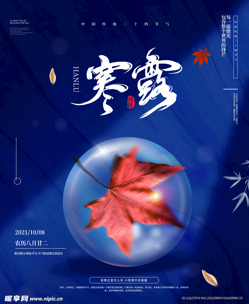 寒露海报