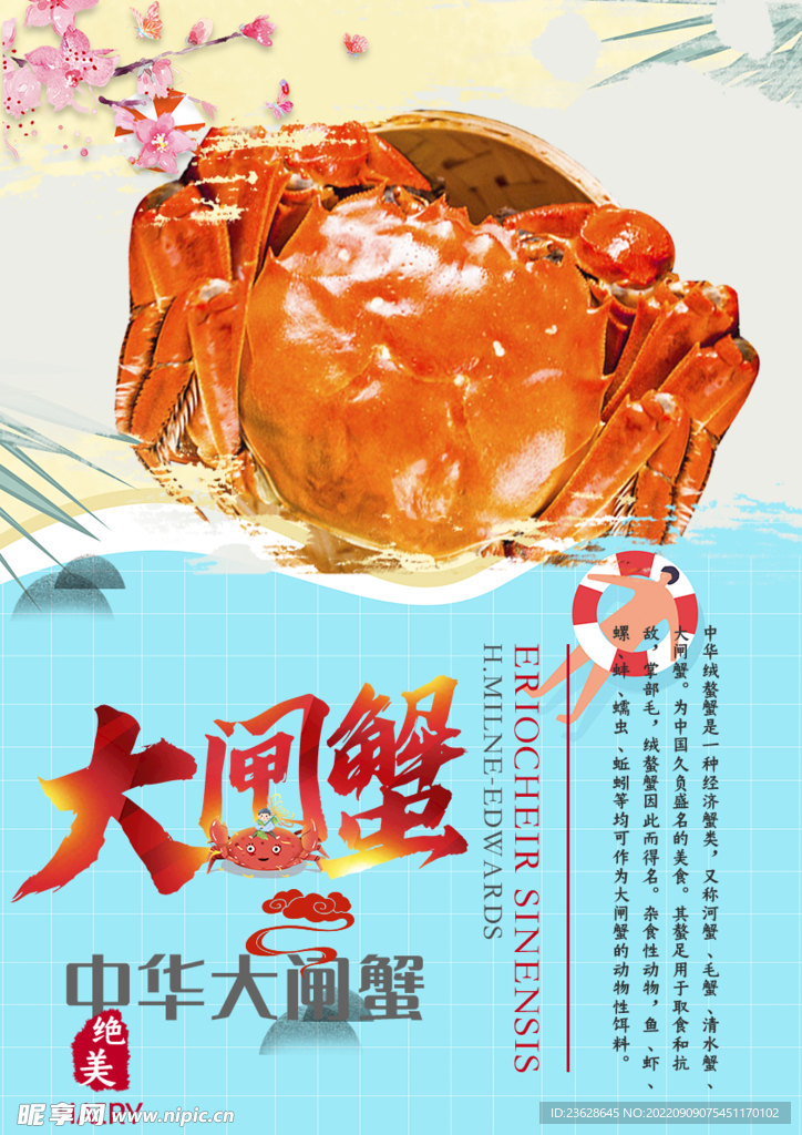 大闸蟹宣传促销海报