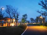 马路旁湖边小屋夜景灯光