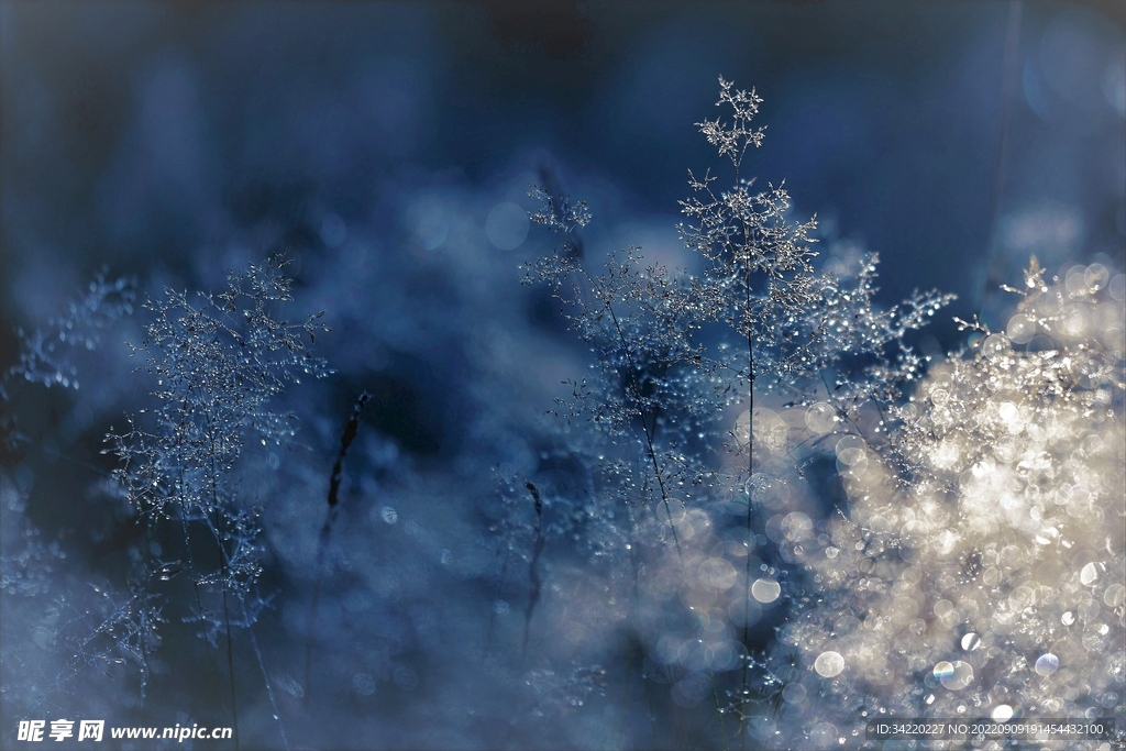 冬天雪景