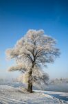 冬天雪景