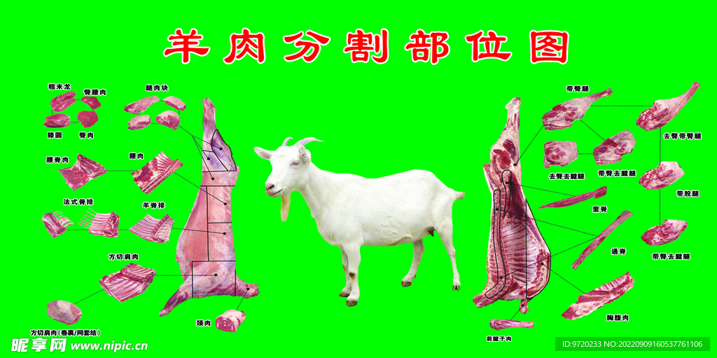 羊肉分割