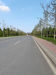 泊油路