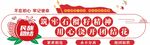 党建石榴籽精神文化墙